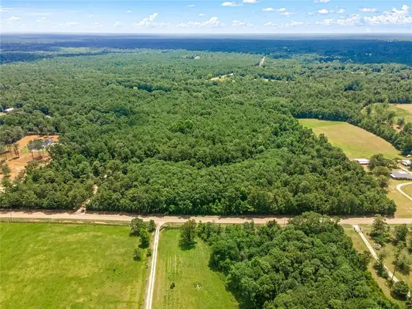 Parcels D and E Old Military (hwy 1082) Road, Bush, LA 70431
