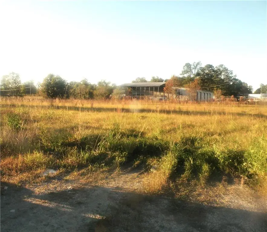 43 Highway, Albany, LA 70711 - #2