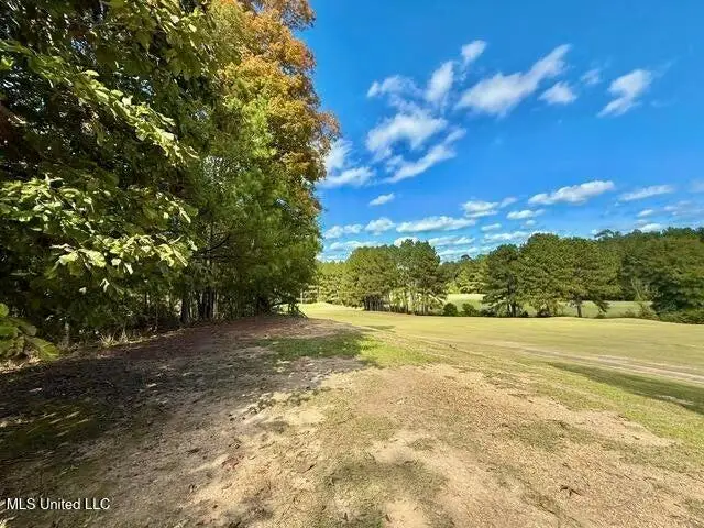 Milltownte Drive, Wesson, MS 39191 - Image #1