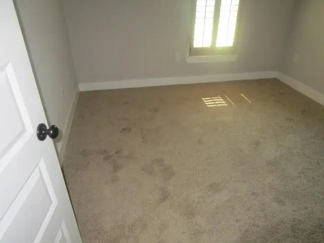 25237 Burlington Drive, Denham Springs, LA 70726 - #2