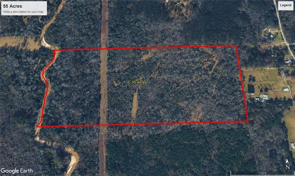 Lamonica Road, Independence, LA 70443 - #1