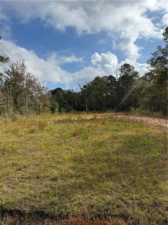 74628 Tantela Ranch Road, Covington, LA 70435 - Image #2