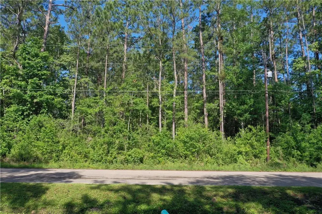 Pinewood Circle, Pearl River, LA 70452 - #1