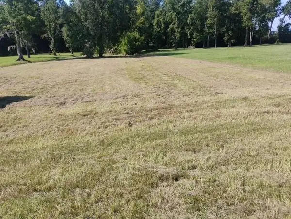 0 W Worthy Road, Gonzales, LA 70737