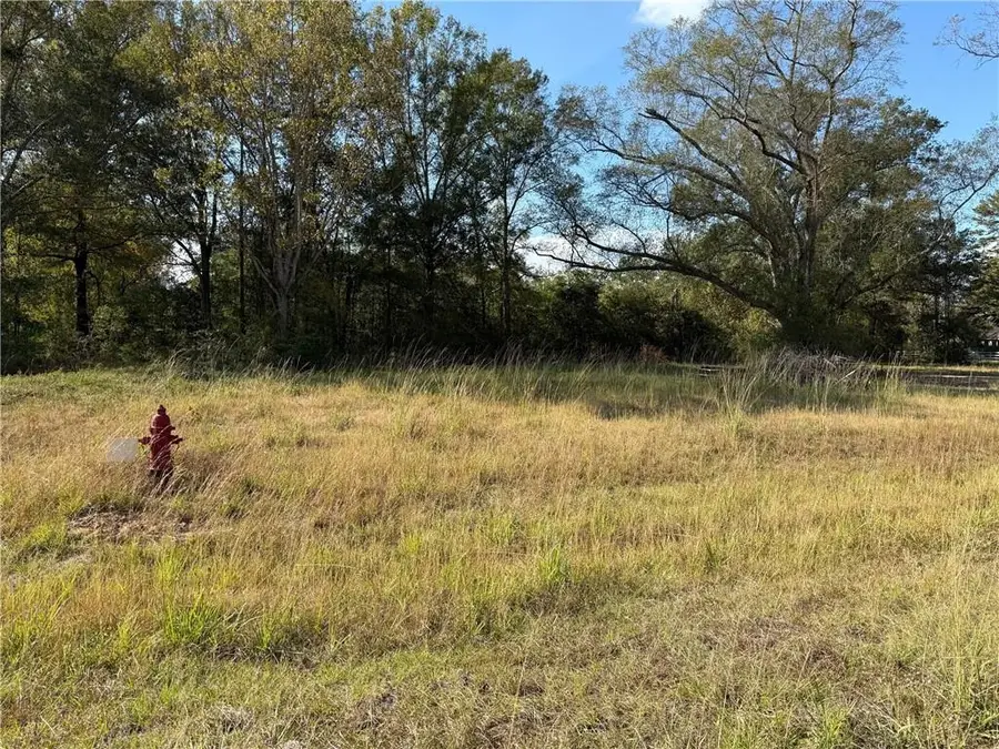 43503 Springwood Way, Hammond, LA 70401 - #2