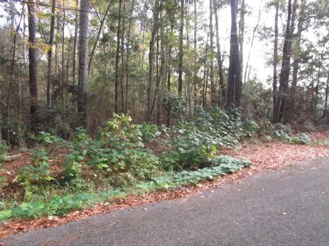 0 Williiams Road, Slidell, LA 70460 - #2