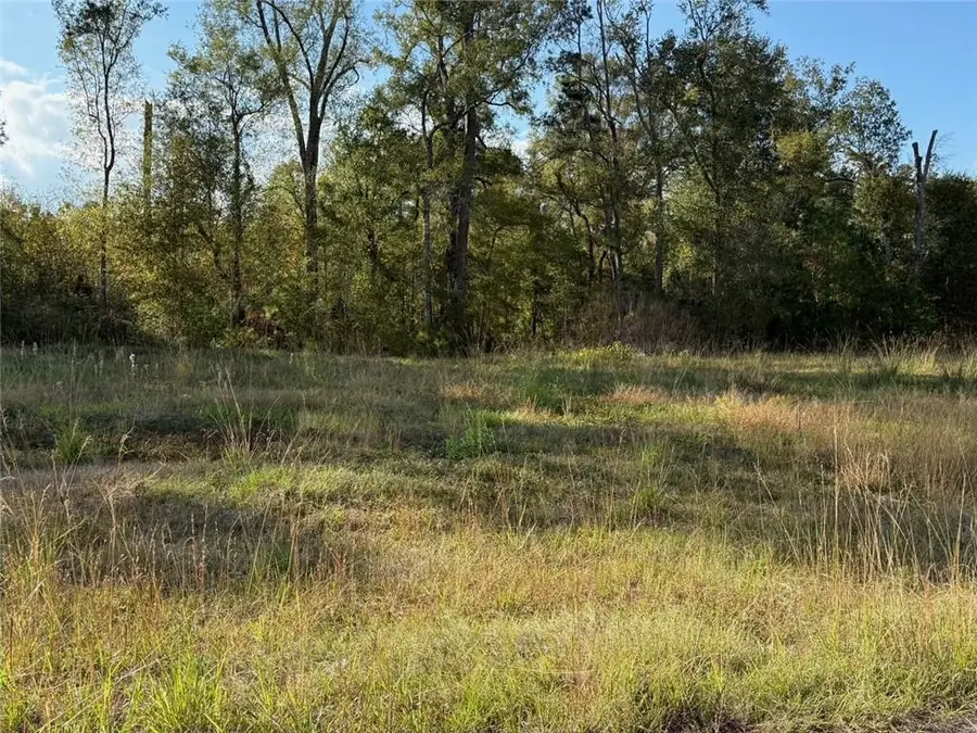 43439 Springwood Way, Hammond, LA 70401 - #2