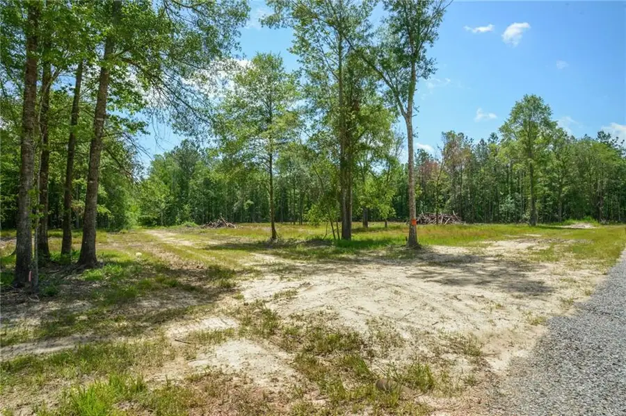 50293 (Lot 3) Allen Drive, Loranger, LA 70446 - Image #3
