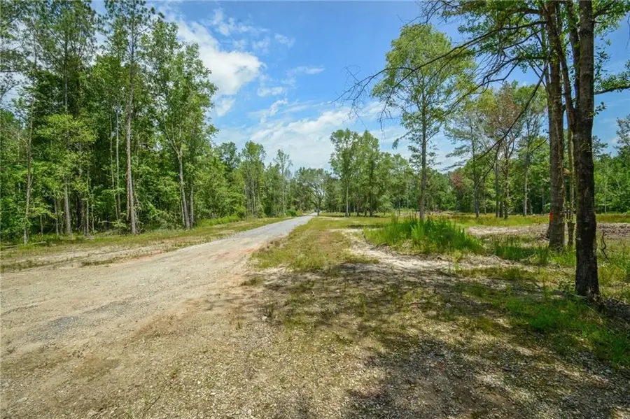 50277 (Lot 5) Allen Drive, Loranger, LA 70446 - Image #2