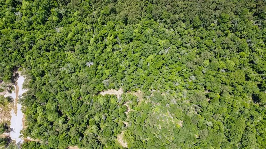 50277 (Lot 5) Allen Drive, Loranger, LA 70446 - Image #3