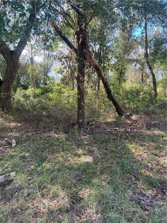 Lot 265 Arbor Drive, Robert, LA 70455 - Image #2