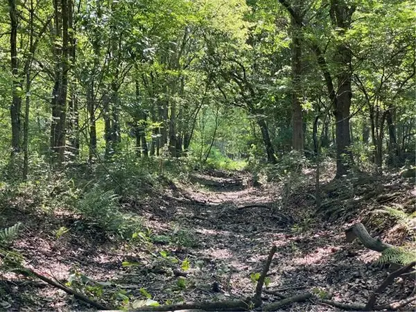 Poydras Plant Lot 10 Other, St. Bernard, LA 70085