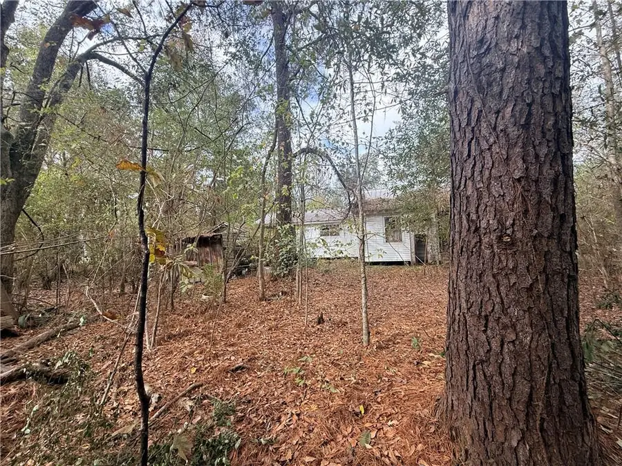 16040 W Murray Road, Ponchatoula, LA 70454 - Image #3