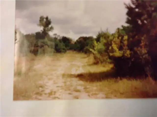 39 Acres Randall Road, Hammond, LA 70401 - #3