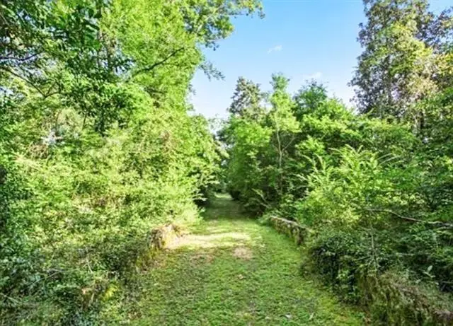 Bamboo Lane, Covington, LA 70435 - #2