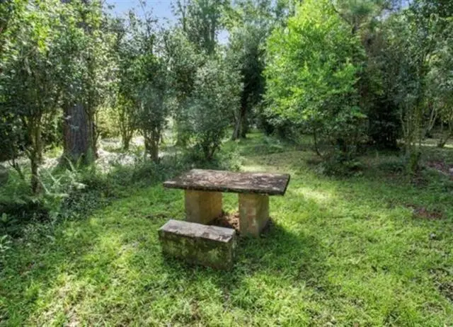 Bamboo Lane, Covington, LA 70435 - #3