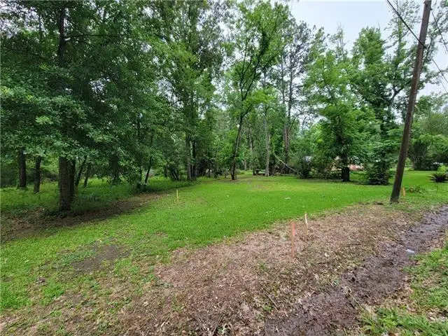 135 Mcgary Lane, Ponchatoula, LA 70454 - #3