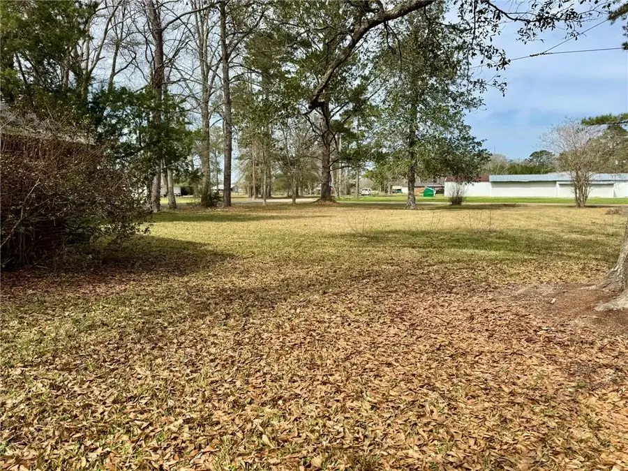 55315 Highway 51 Highway, Independence, LA 70443 - #3