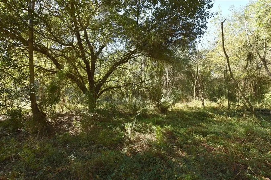 67579 Hwy 41 Highway, Pearl River, LA 70452 - #3