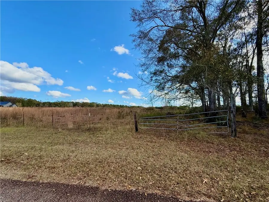 3.97 Vacant Lan Lee Road, Franklinton, LA 70438 - Image #3