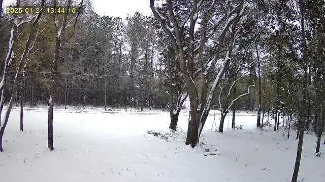 79789 N Willie Road, Folsom, LA 70437 - Image #1