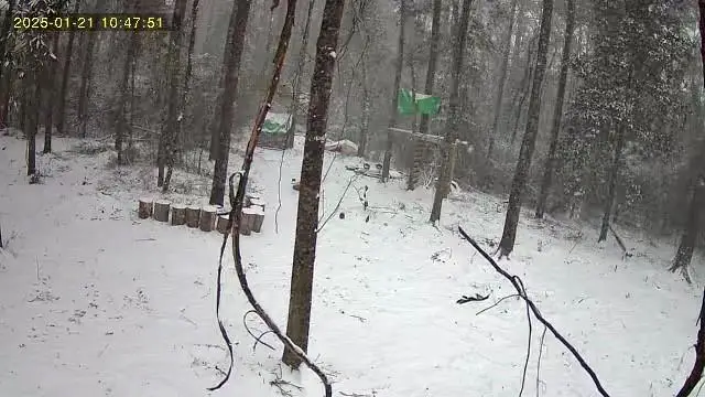 79789 N Willie Road, Folsom, LA 70437 - Image #3