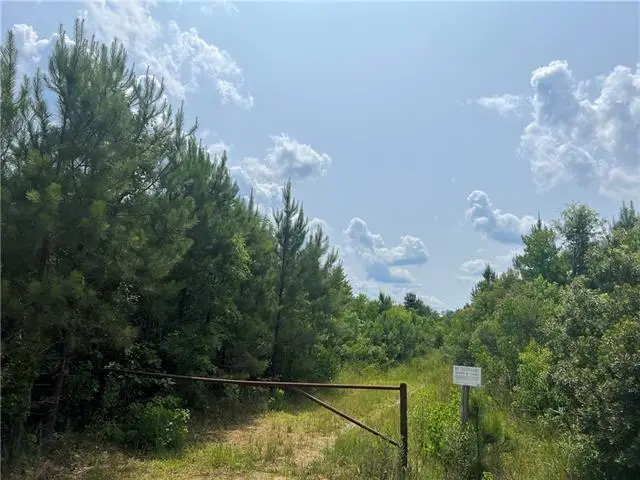 1439 Leonard Chapel Road, Independence, LA 70443 - #2