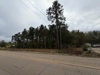 6.203 TBD 441 Highway, Holden, LA 70744 - #2