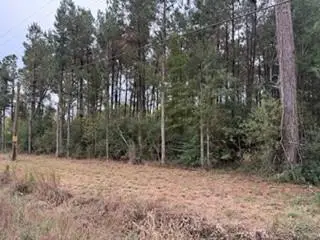 6.203 TBD 441 Highway, Holden, LA 70744 - #3