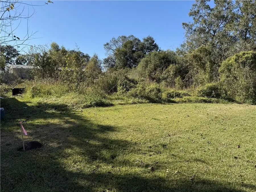 203 Concession Street, Belle Chasse, LA 70037 - #3