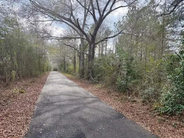 0 Burch Road, Mount Hermon, LA 70450 - #1