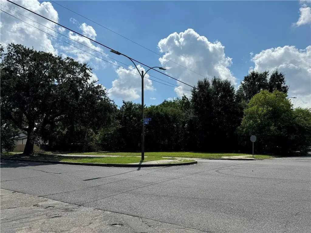 704 Thayer Street, New Orleans, LA 70114 - #1