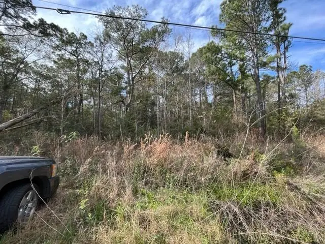 60351 Highway 434 Lake Road, Lacombe, LA 70445 - Image #2