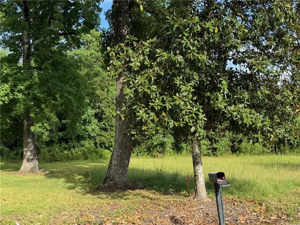 32882 Lower Rome Road, Springfield, LA 70462 - #1