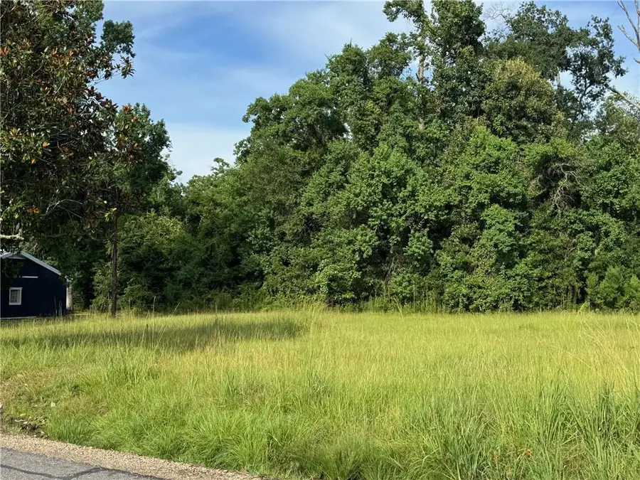 32882 Lower Rome Road, Springfield, LA 70462 - #2