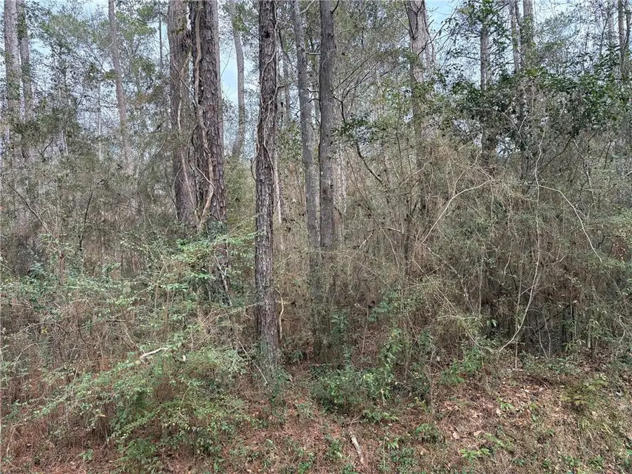 Huey Street, Lacombe, LA 70445 - Image #3