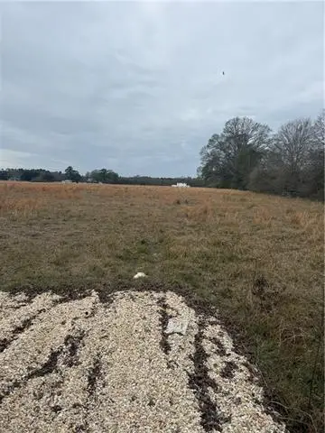 TBT Us 51 Highway, Amite, LA 70422 - #1