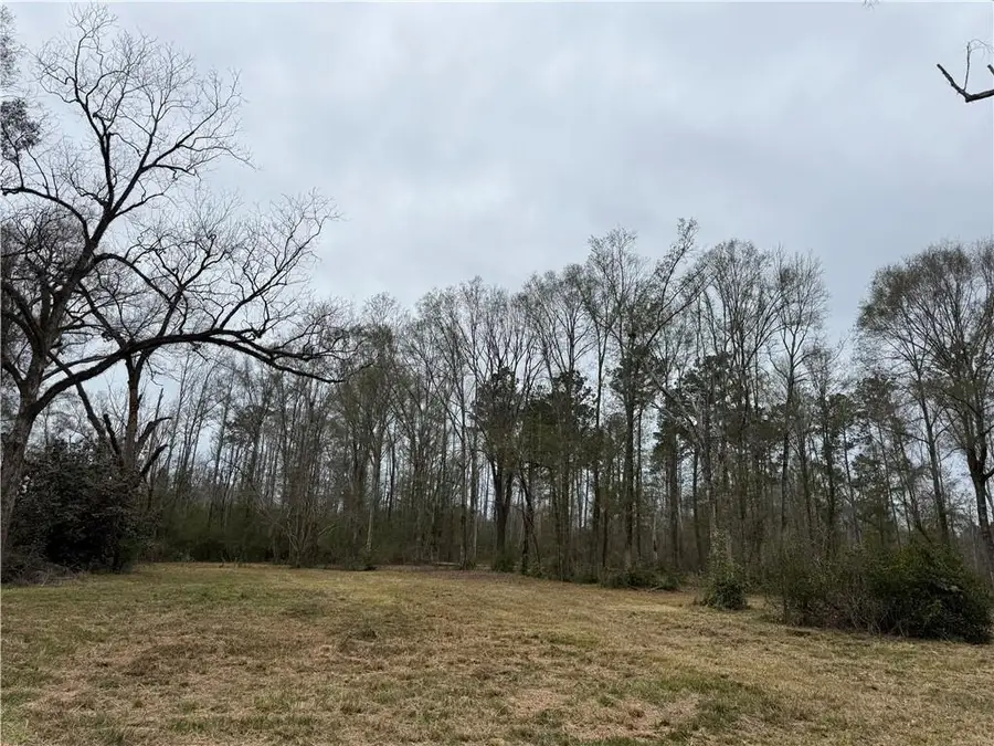 63271 Hill Street, Roseland, LA 70456 - Image #2