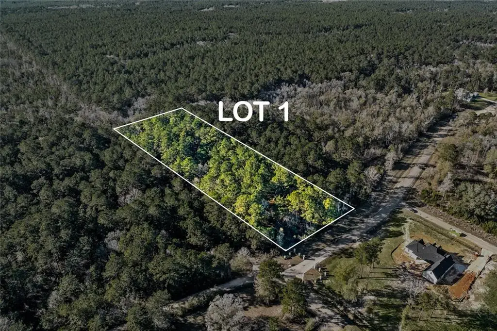 12505 Goldentop Drive, Covington, LA 70433 - Image #1