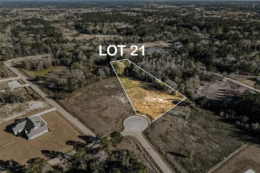 12572 Goldentop Drive, Covington, LA 70433 - Image #1