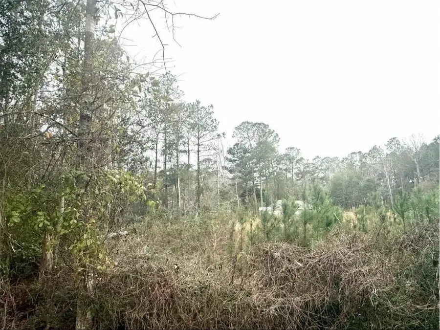 0 Lilac Drive, Lacombe, LA 70445 - Image #2