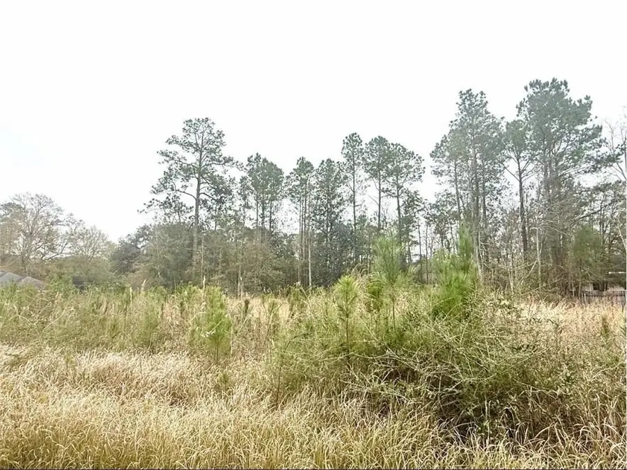 0 Lilac Drive, Lacombe, LA 70445 - Image #3