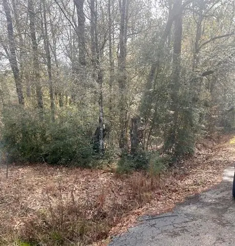 40 Acres Joiner-wymer Road, Covington, LA 70433