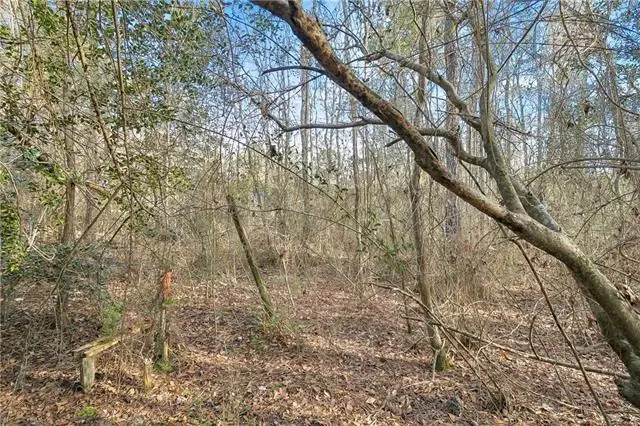 0 Javery Road, Pearl River, LA 70460 - #3