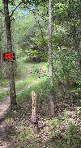 Dillon Road, Kentwood, LA 70444 - #3