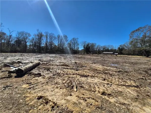 Tract B Stafford Road, Tickfaw, LA 70466