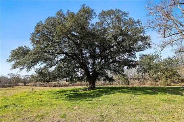 255 Jp Thomas Road, Amite, LA 70422 - #1