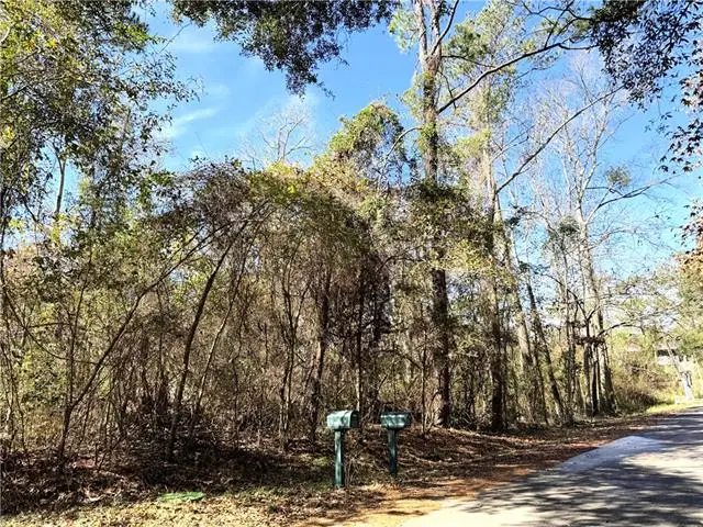 Soult (villere Corner) Street, Mandeville, LA 70448 - #1