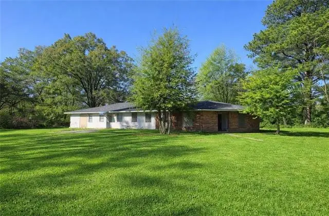 55583 Mandella Road, Independence, LA 70443 - #1