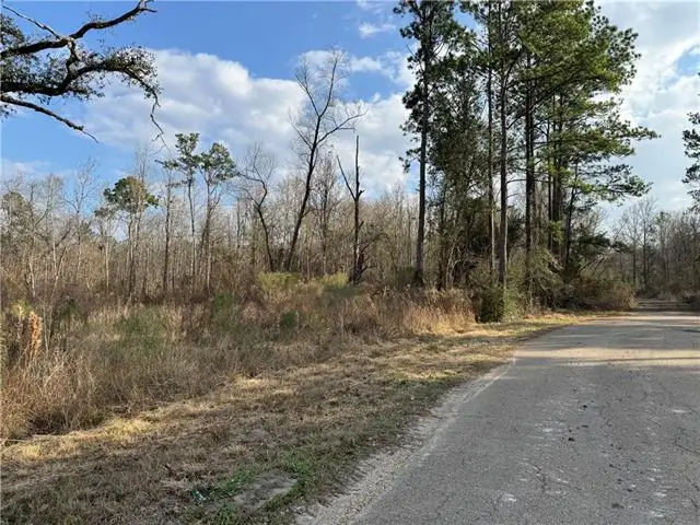 TBD Winder Road, Springfield, LA 70462 - #3